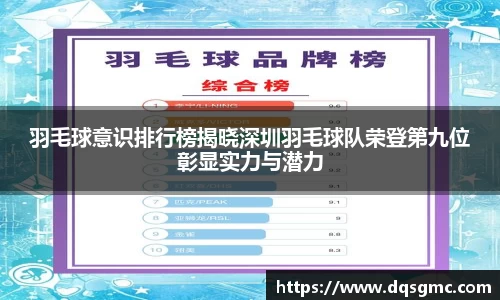 羽毛球意识排行榜揭晓深圳羽毛球队荣登第九位彰显实力与潜力